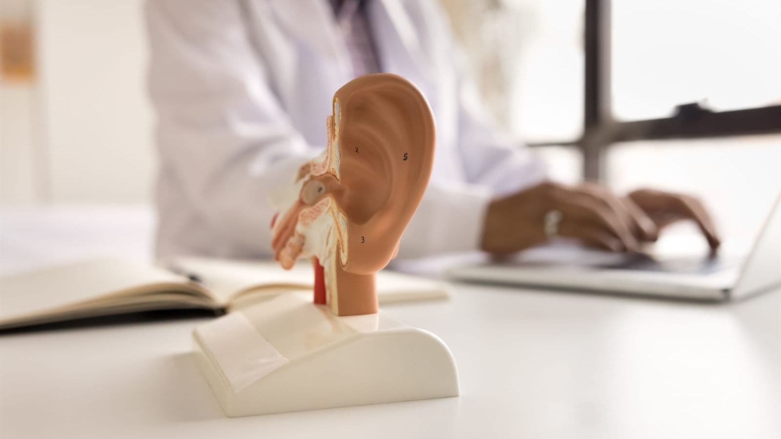 An anatomical ear model on a desk with an audiologist working in the background