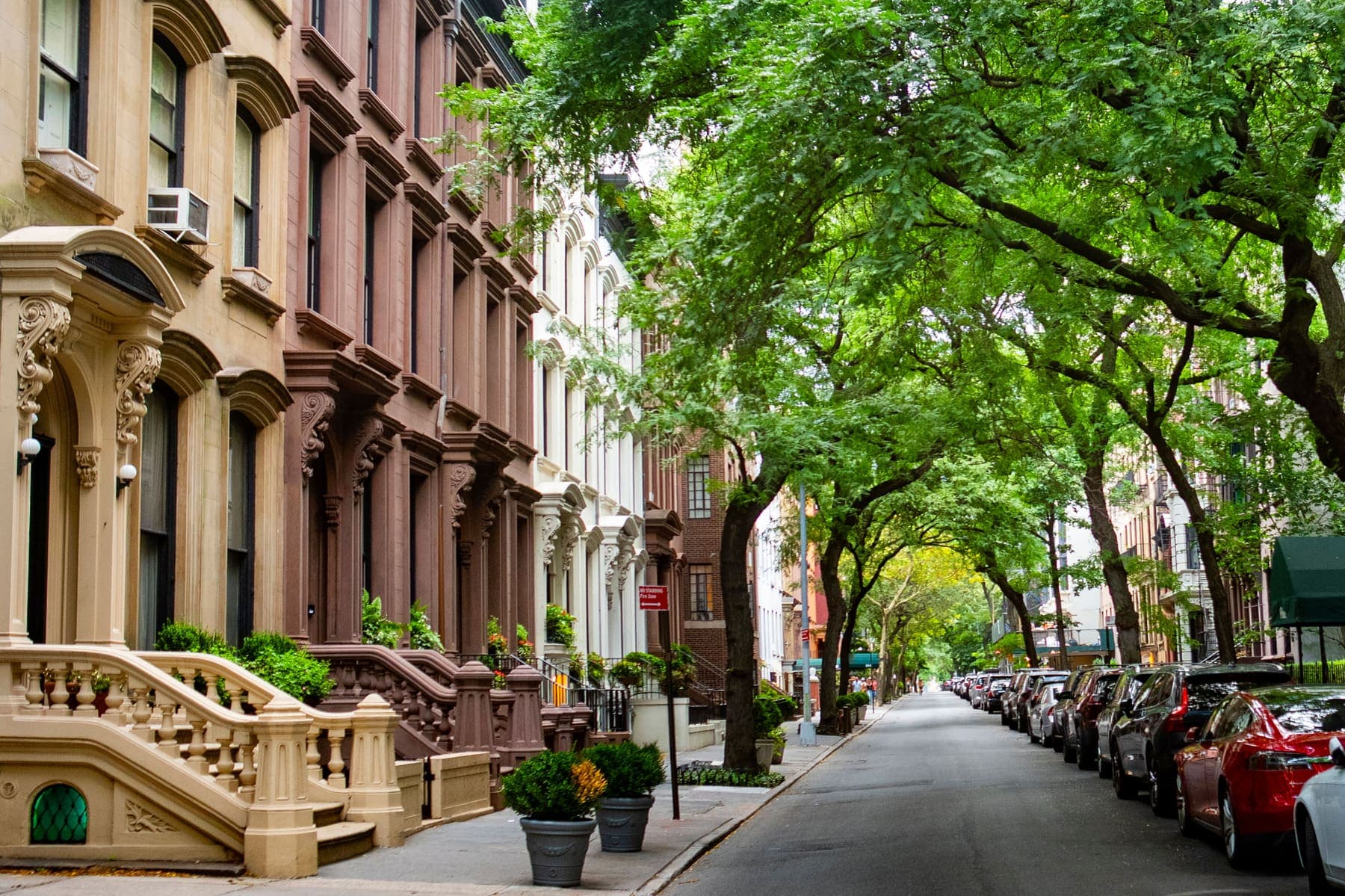 Tree-lined Brooklyn street with brownstone row houses