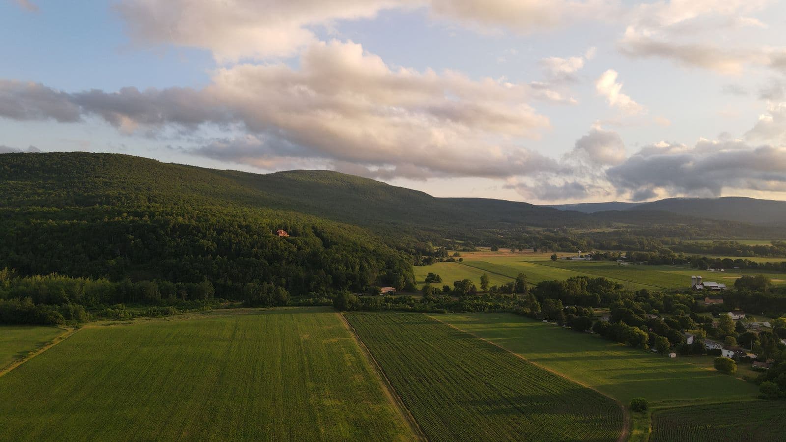 Sunlit Upstate New York fields with wooded hills in the distance