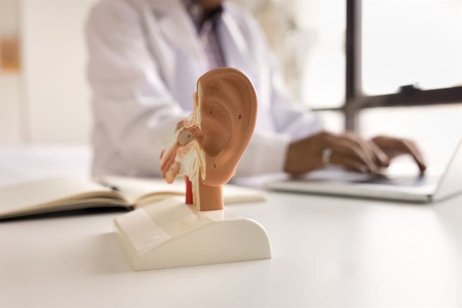 An anatomical ear model on a desk with an audiologist working in the background